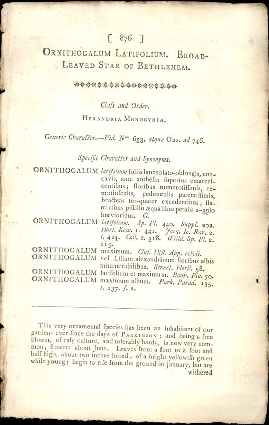 Plate 876 - Broad- Leaved Star Of Bethlehem