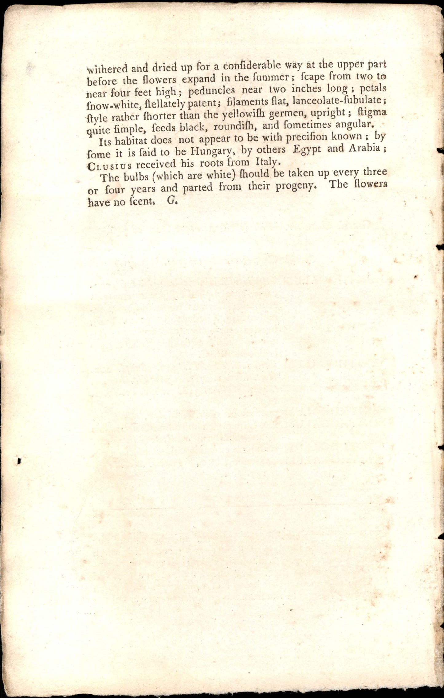 Plate 876 - Broad- Leaved Star Of Bethlehem