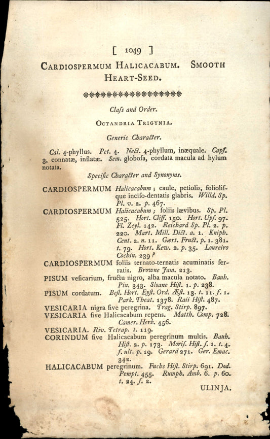 Plate 1049 - Octandria Trigynia