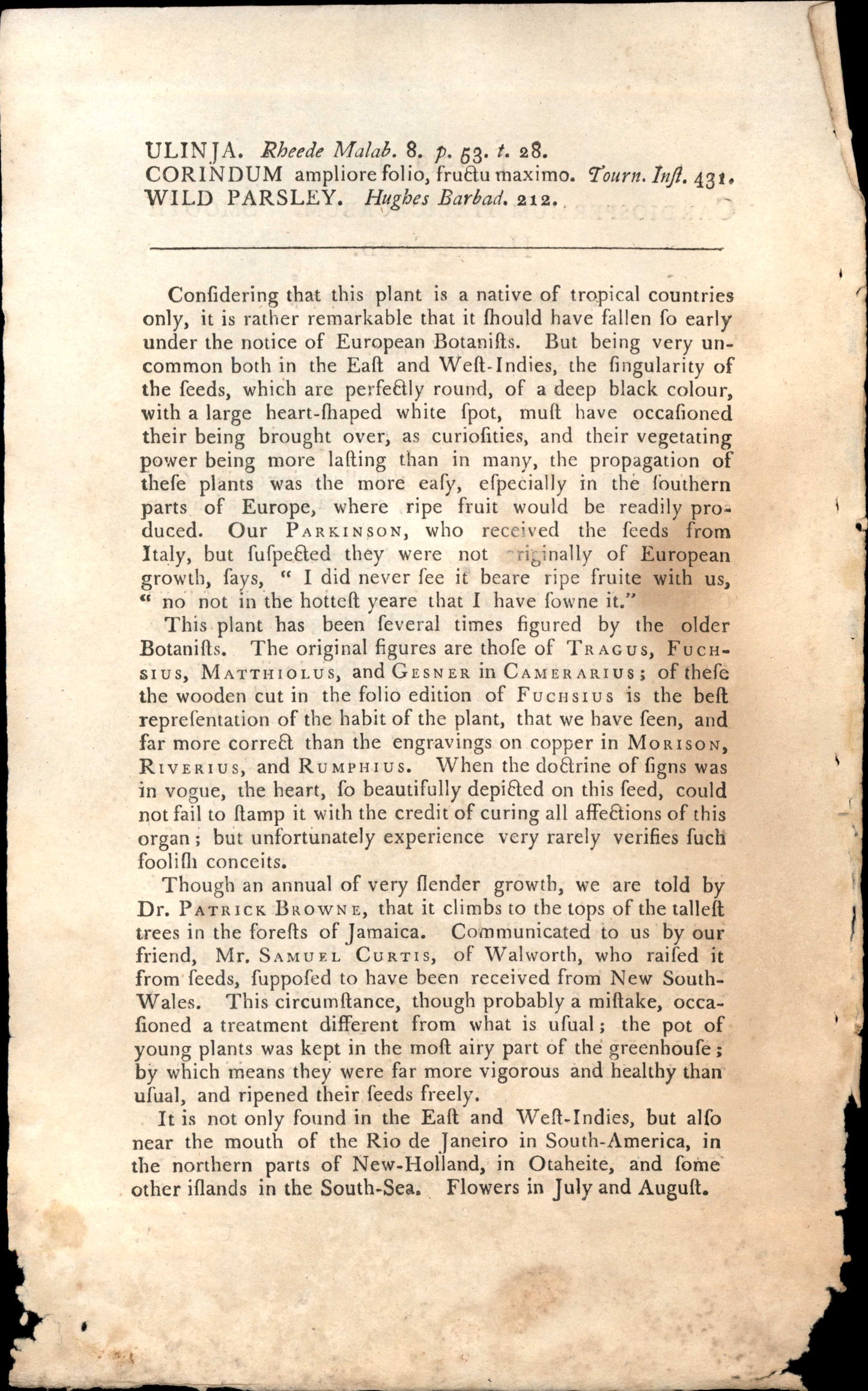 Plate 1049 - Octandria Trigynia