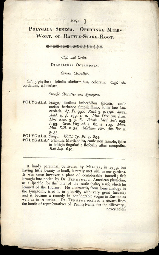 Plate 1051 - Polygala Senega