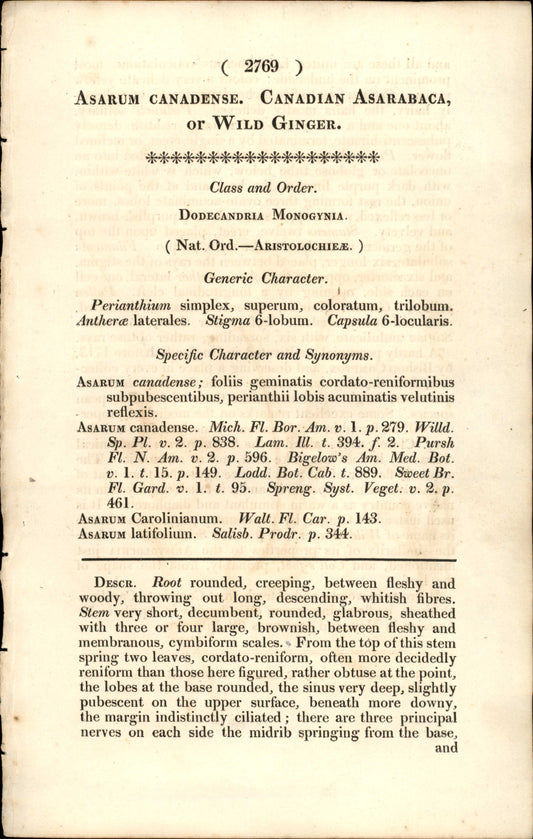 Plate 2769 - Canadian Asarabaca Or Wild Ginger
