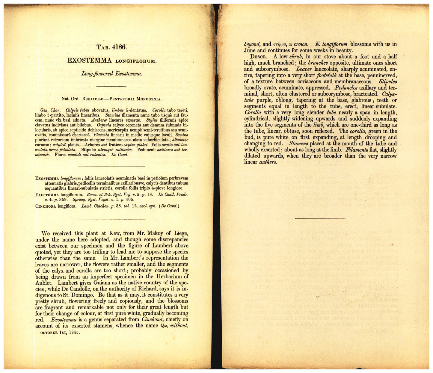 Botanical description tab for plate number 4186 - digital file