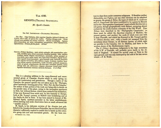 Botanical description tab for plate number 4195 - digital file