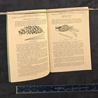 Vintage Forest Trees of Illinois: How to Know Them