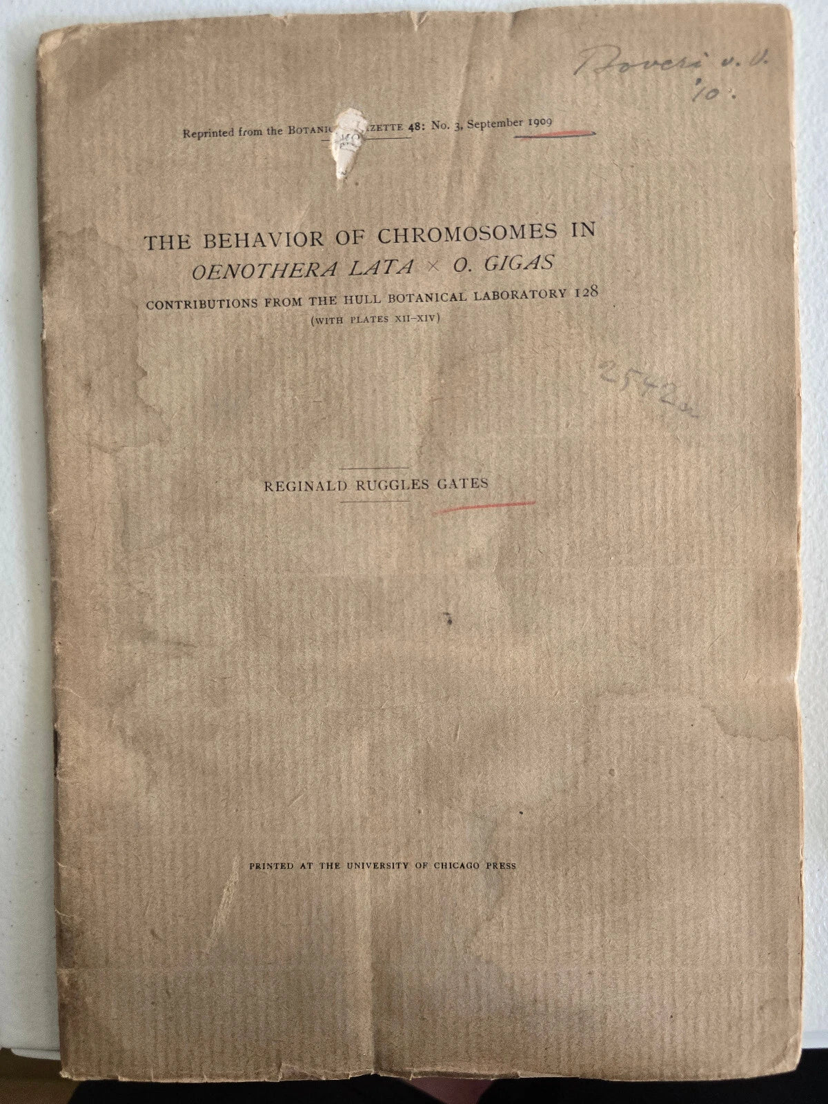 The Behavior of Chromosomes in Oenothera lat by Reginald Ruggles Gates