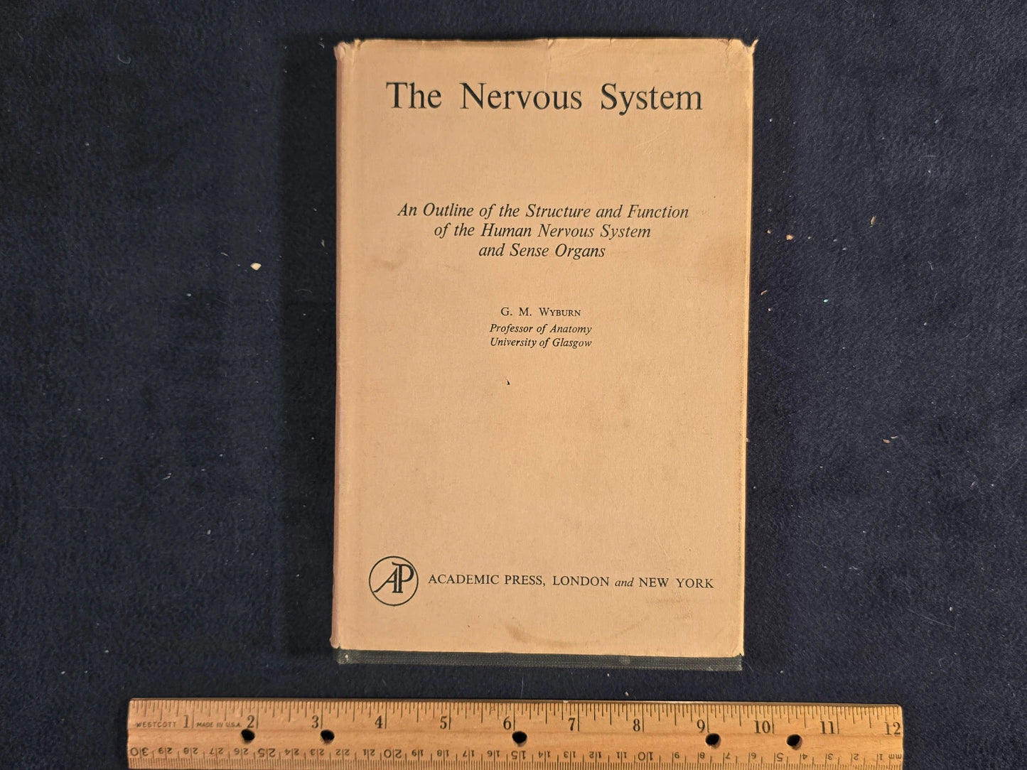 The Nervous System | G. M. Wyburn | 1950 First Edition
