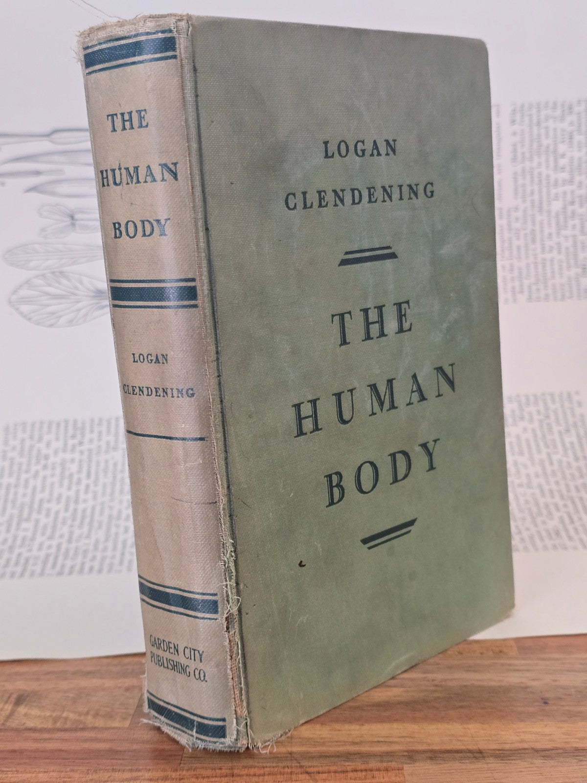 The Human Body by Logan Clendening - Star Book Edition