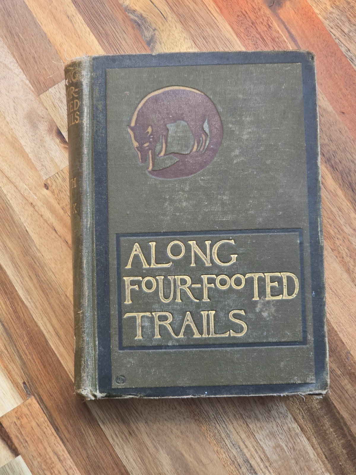 Along Four-Footed Trails 1903 Ruth A. Cook | Wild Animal Nature Book w/ Illus.