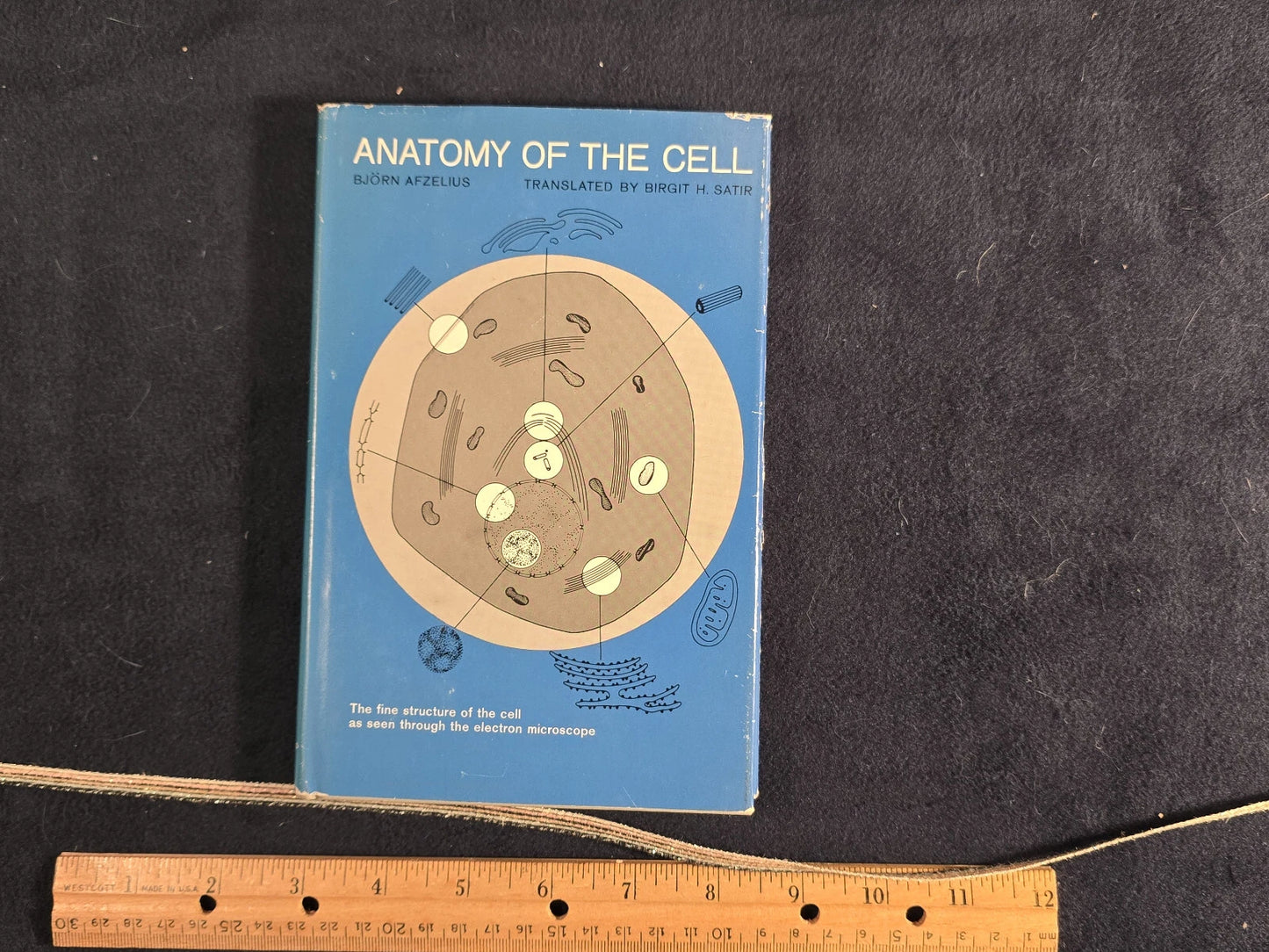 Anatomy of the Cell by Björn Afzelius – Third Impression (1966)
