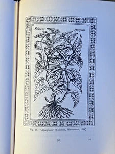 Herbals: Origin & Evolution – Agnes Arber 1938 2nd Ed. Botany History Cambridge