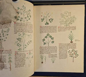 De Simplici Medicina by Dr. Arnold Pfister – Facsimile (1960)