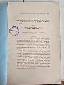 A Cytological Study of Oenothera mu by R. Ruggles Gates & Nesta Thomas