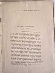 Mutation in Oenothera (1911) by R. R. Gates