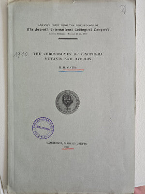 The Chromosomes of Oenothera Mutants and Hyb by Reginald Ruggles Gates
