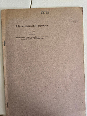 A Texan Species of Megapterium (1914) by R. Ruggles Gates