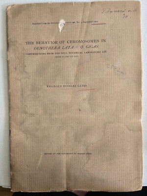 The Behavior of Chromosomes in Oenothera lat by Reginald Ruggles Gates