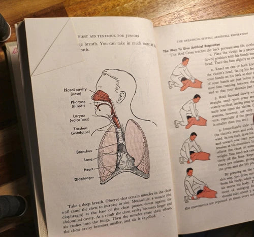 1953 American Red Cross First Aid Textbook For Juniors Second Edition