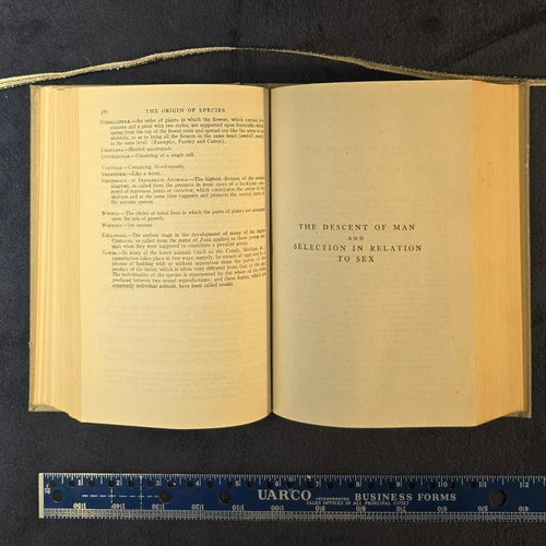 Vintage Darwin's The Origin Of Species and The Descent of Man