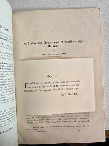 The Stature and Chromosomes of Oeno by De Vries Reginald Ruggles Gates