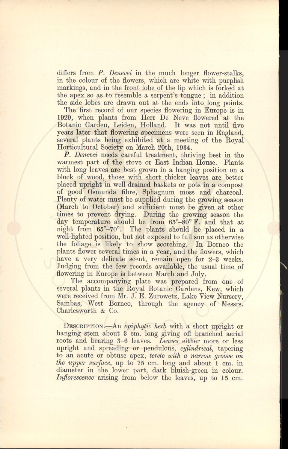 Plate 9445 - Phalaenopsis denevei