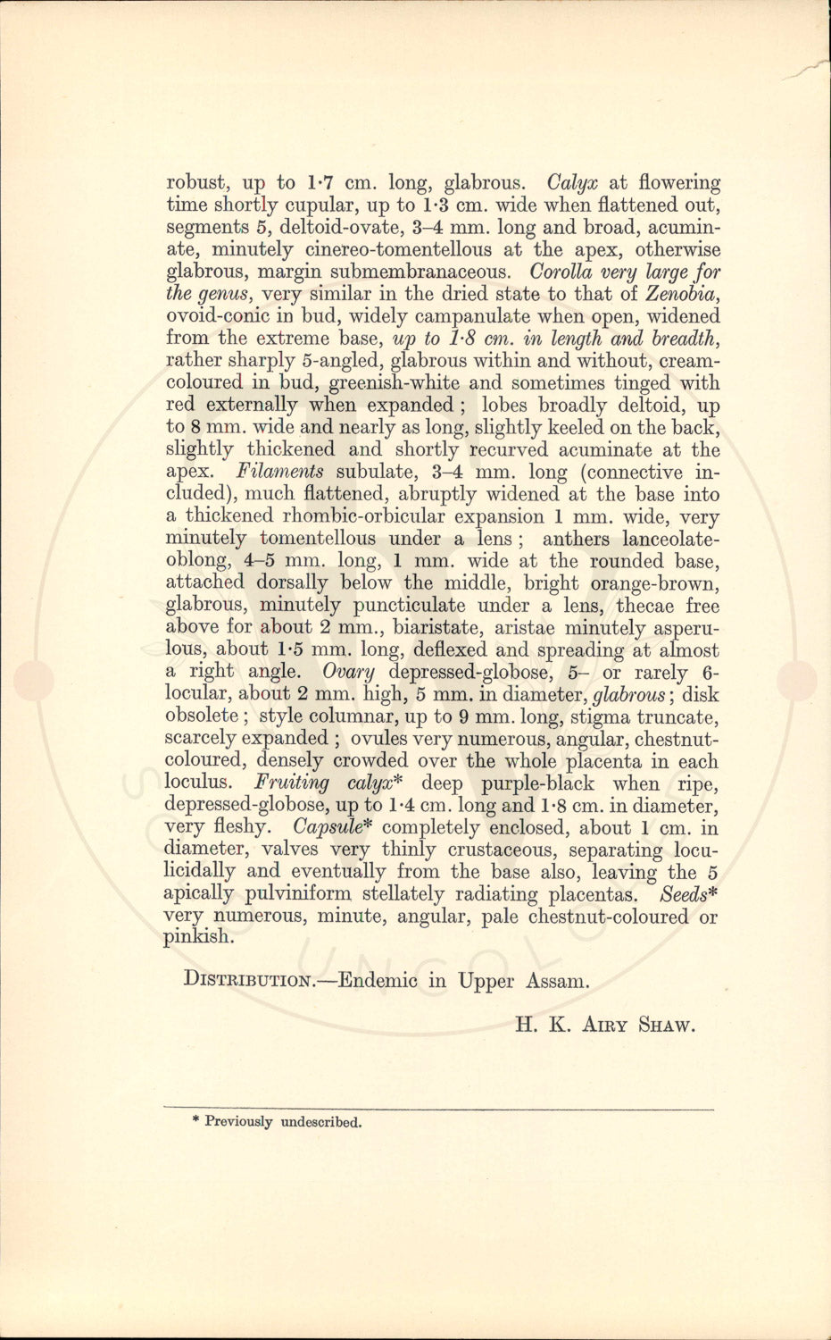Plate 9456 - Gaultheria codonantha