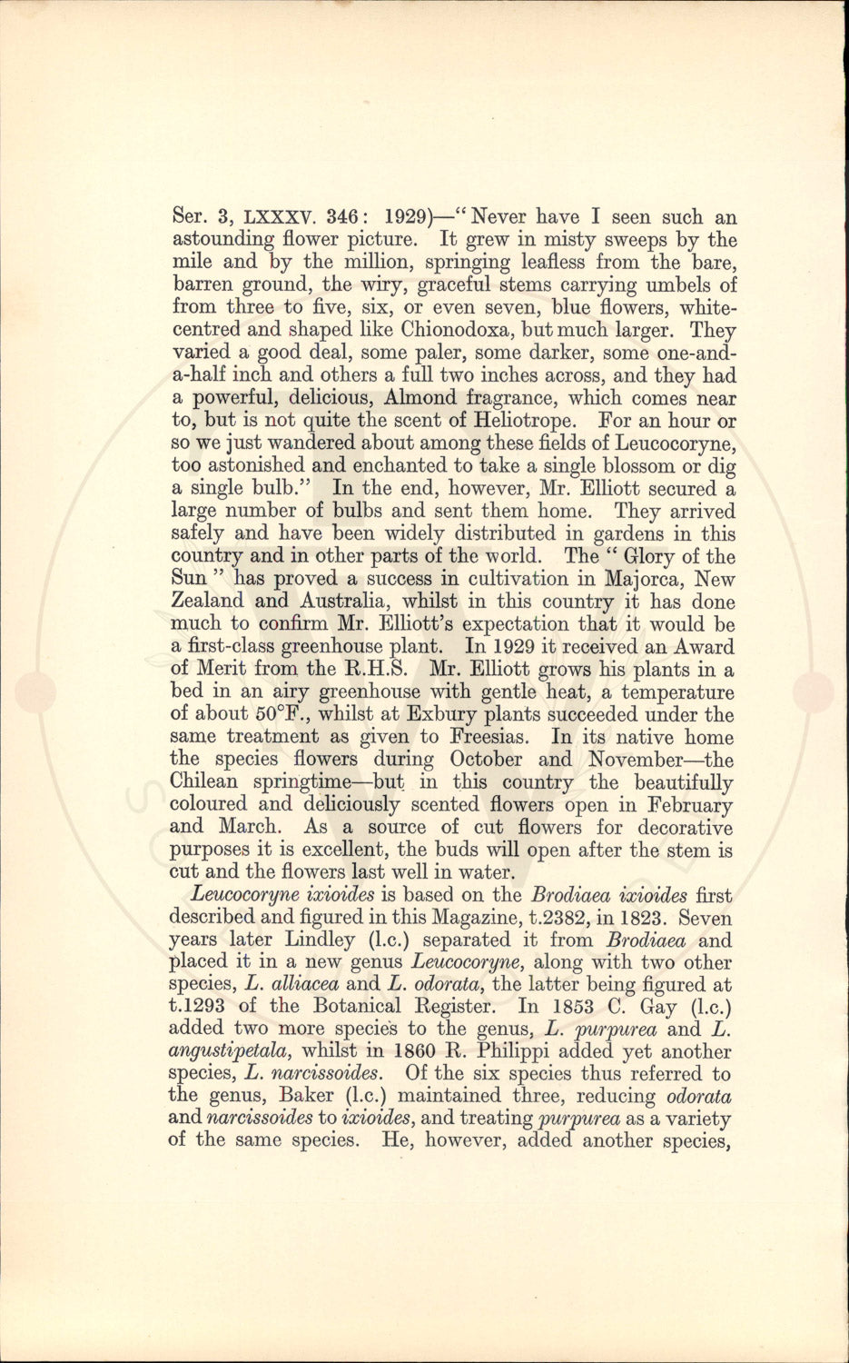 Plate 9457 - Leucocoryne ixioides