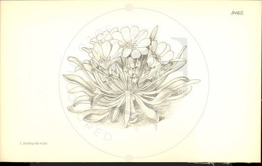 Line drawing of a floral arrangement on a beige background