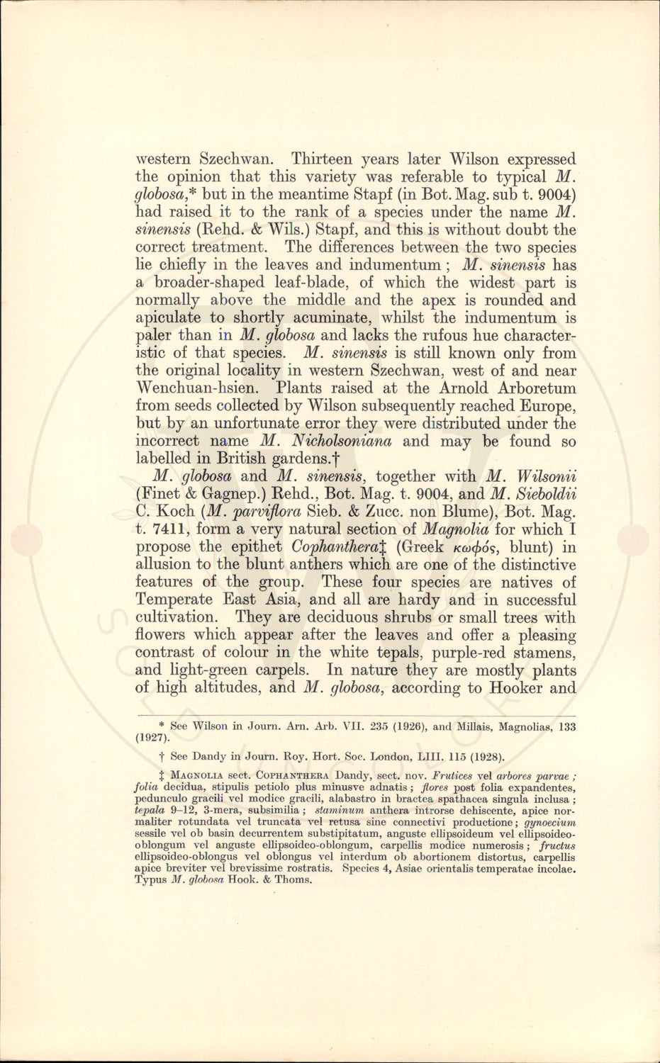Plate 9467 - Magnolia globosa