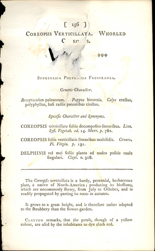 Curtis Botanical – Plate 156 – Coreopsis Verticillata