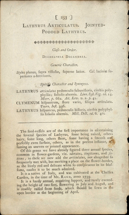 Plate 253 - Jointed- Podded Lathyrus