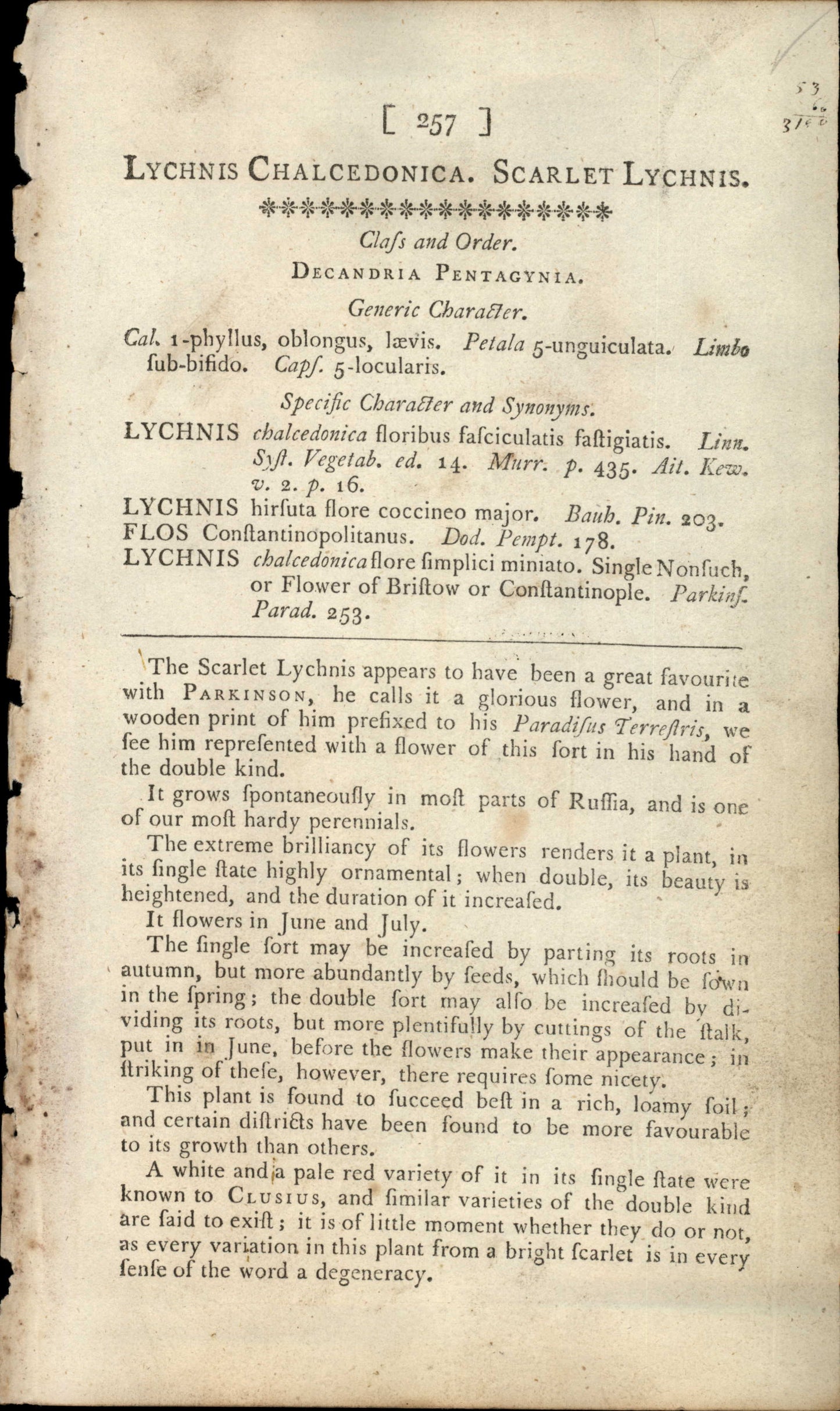 Curtis Botanical – Plate 257 – Scarlet Lychnis