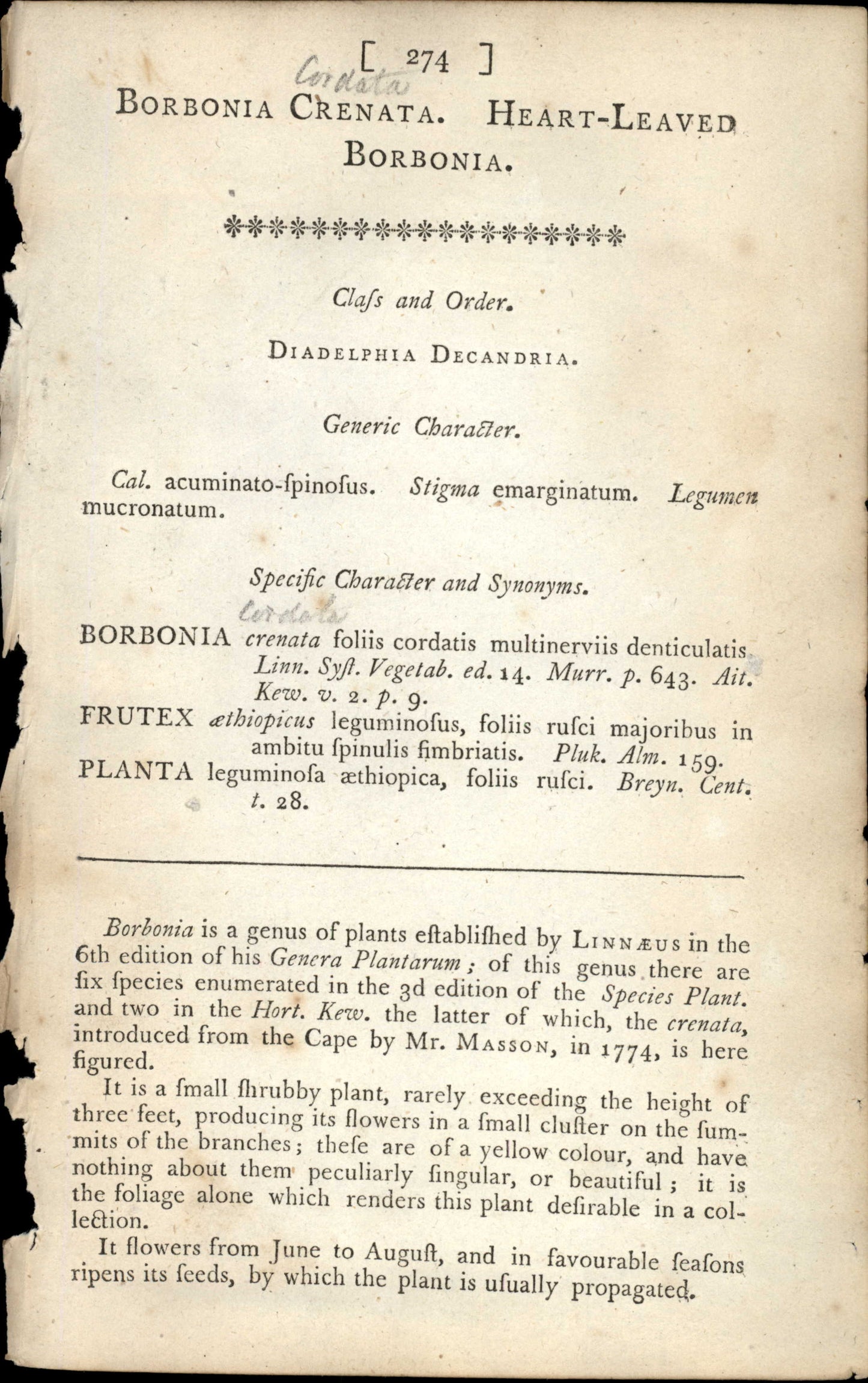 Curtis Botanical – Plate 274 – Heart Leaved Borbonia