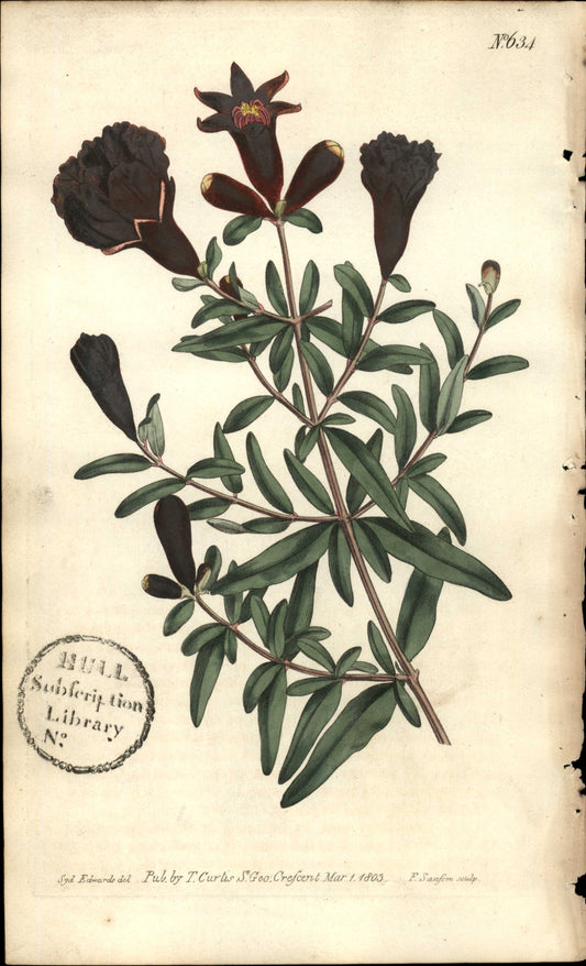 Plate 634 - Icosandria Monogynia