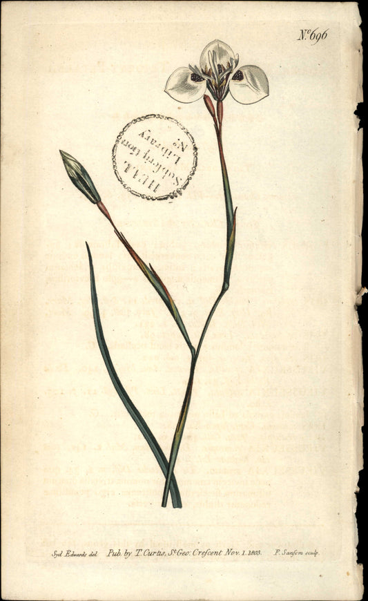 Plate 696 - Triandria Monogynia