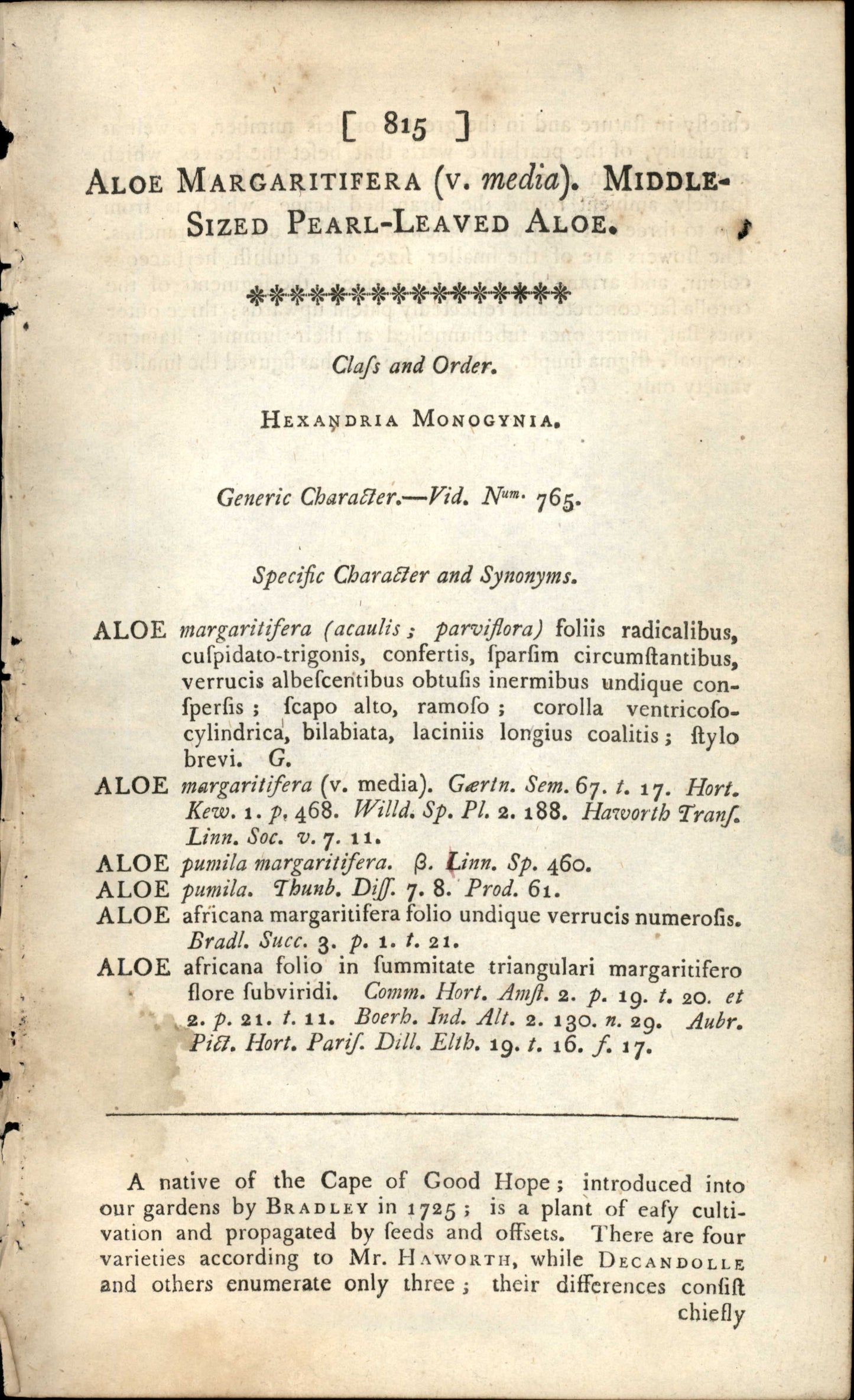 Plate 815 - Leaved Aloe