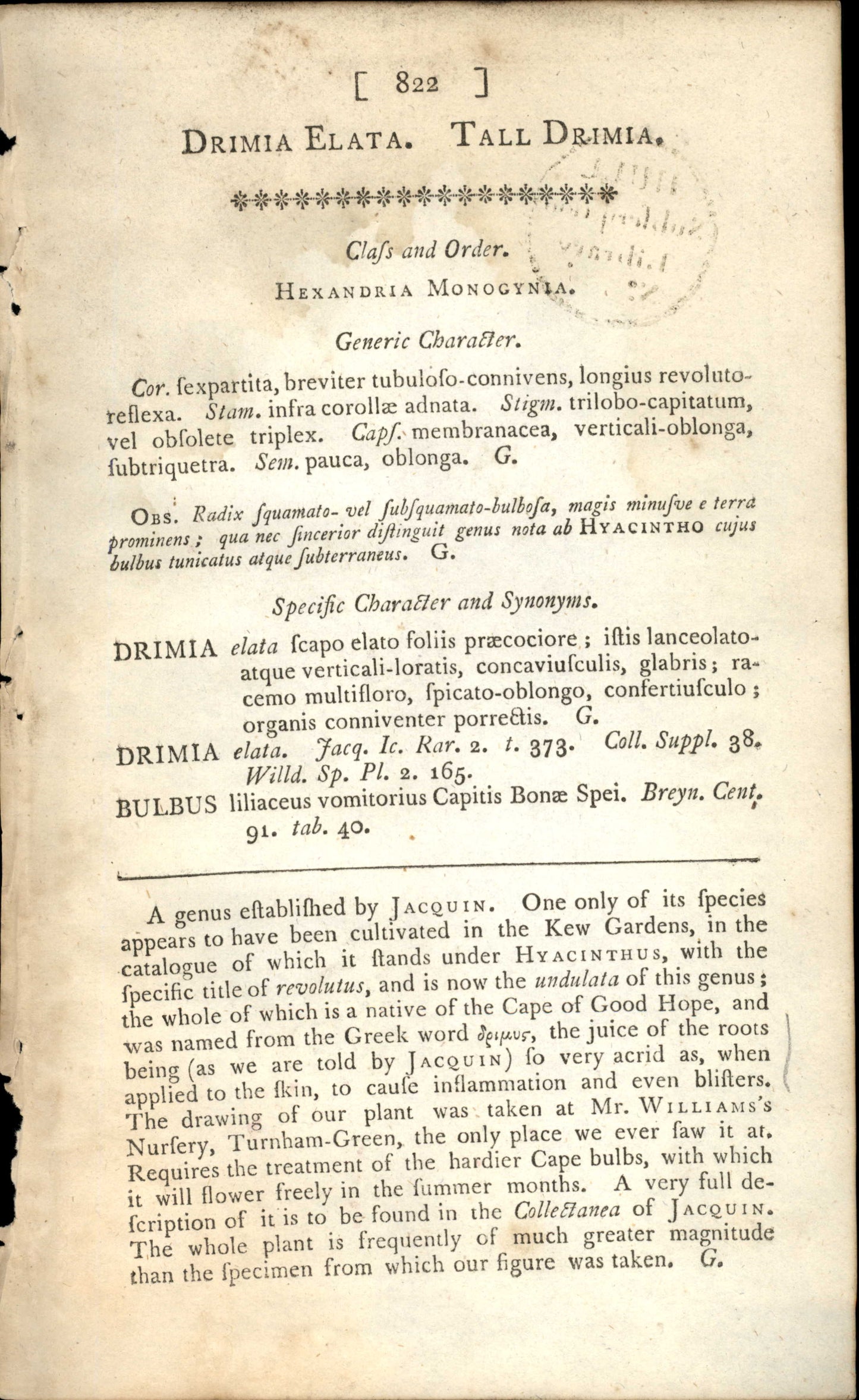 Plate 822 - Drimia Elata