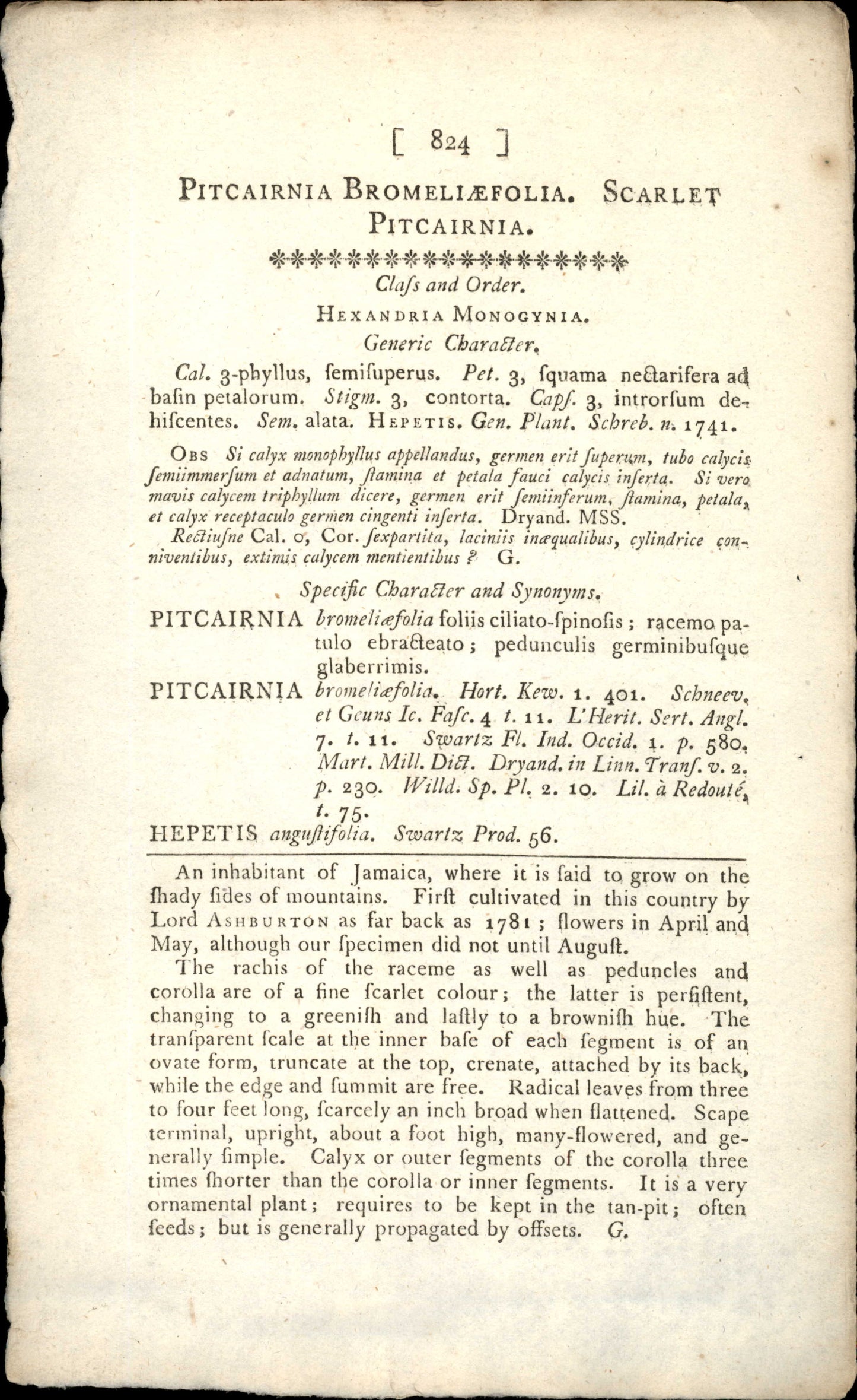 Plate 824 - Pitcairnia Bromeliefolia