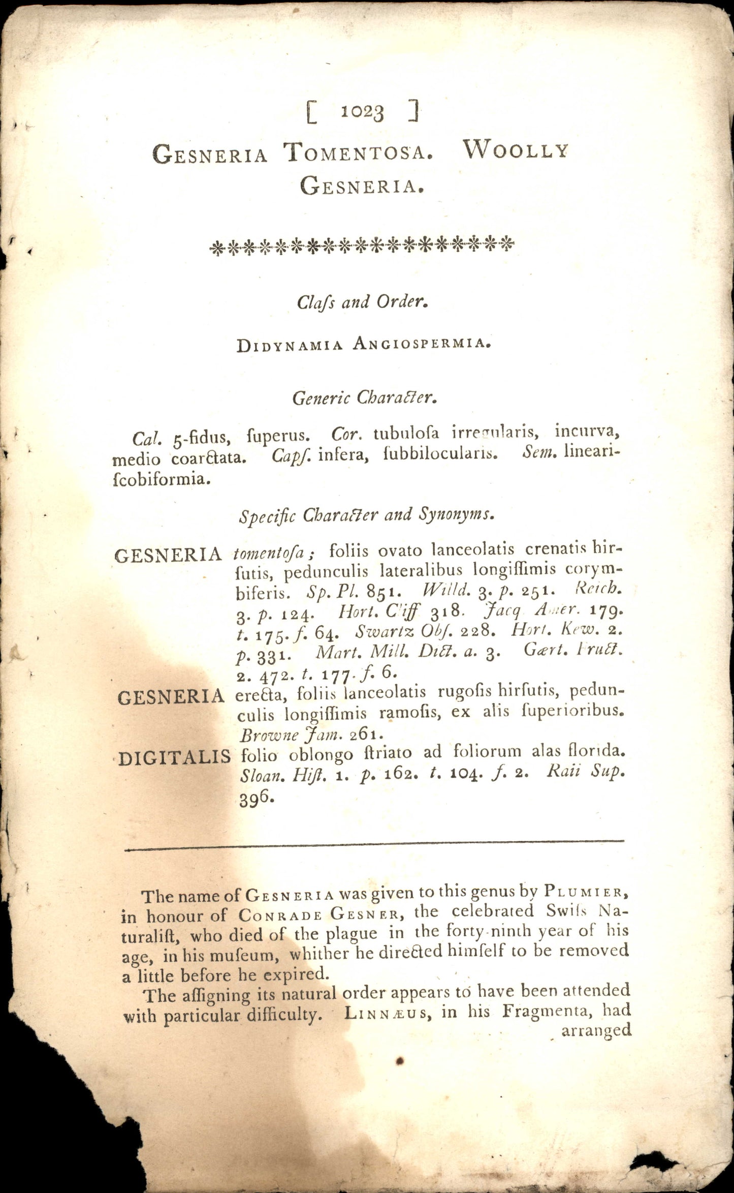 Curtis Botanical – Plate 1023 – Woolly Gesneria