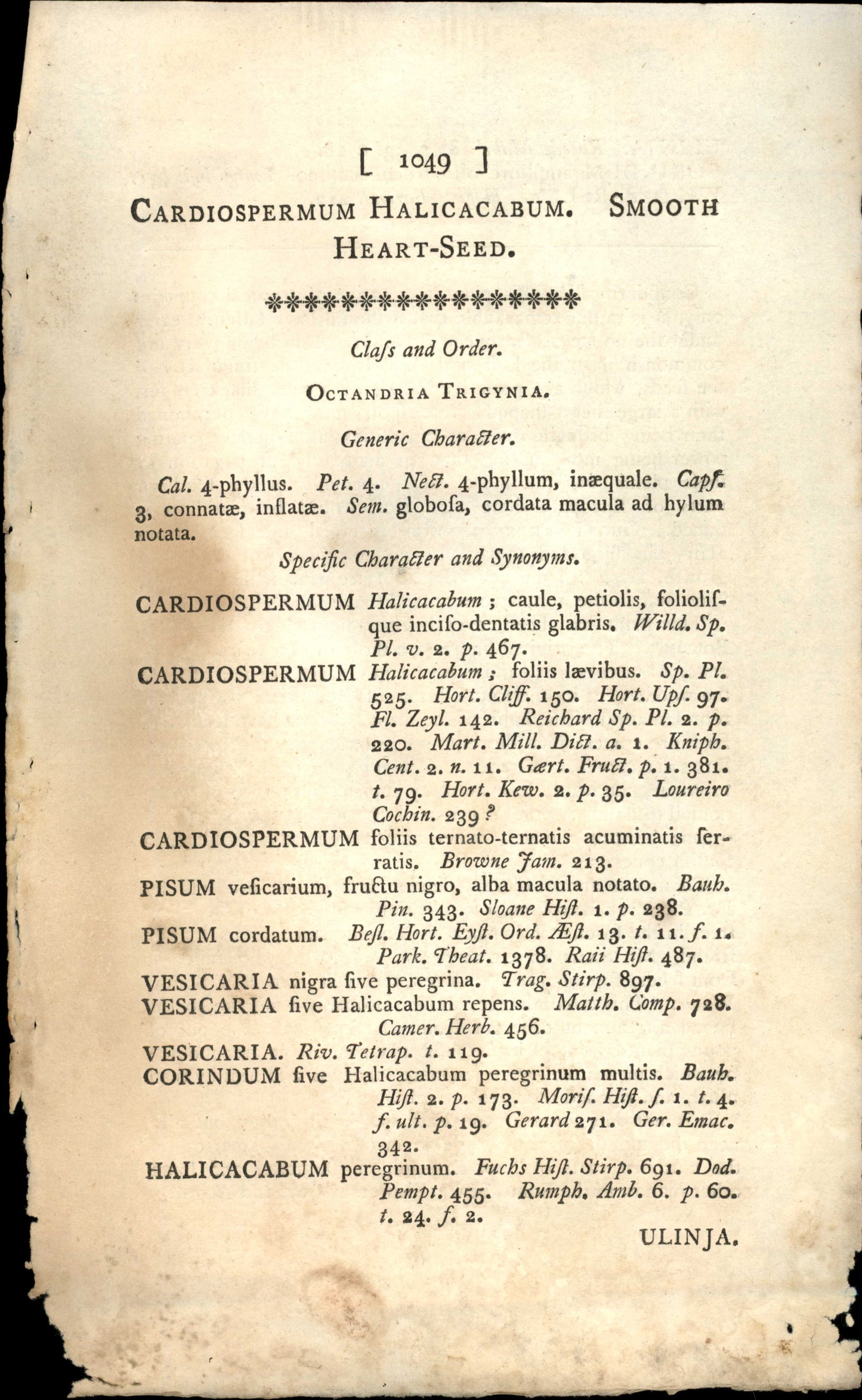 Plate 1049 - Octandria Trigynia