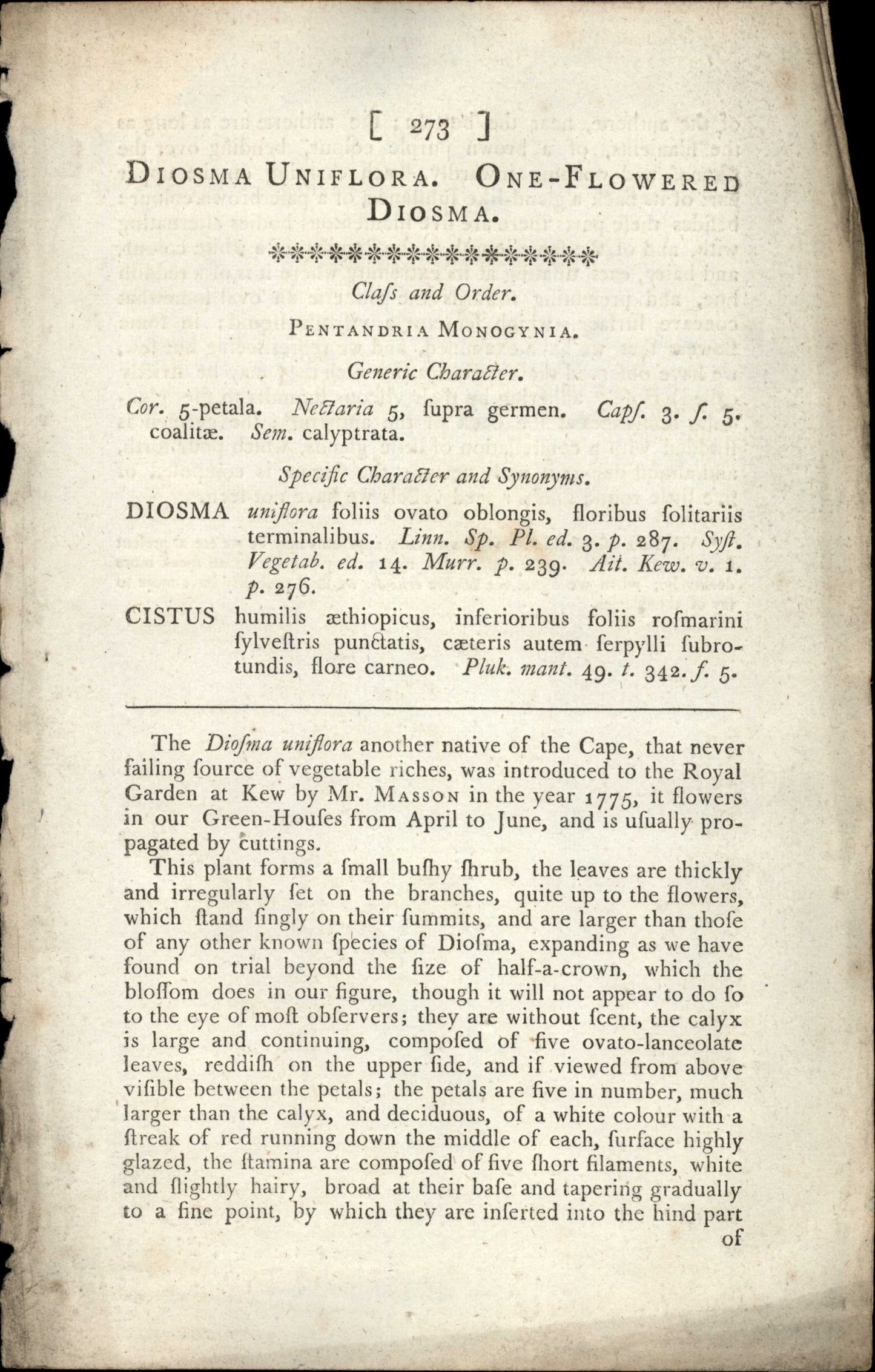 Curtis Botanical – Plate 273 – One Flowered Diosma