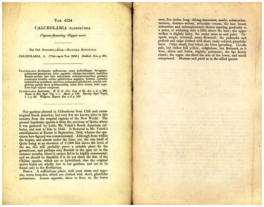 Botanical description tab for plate number 4154 - digital file