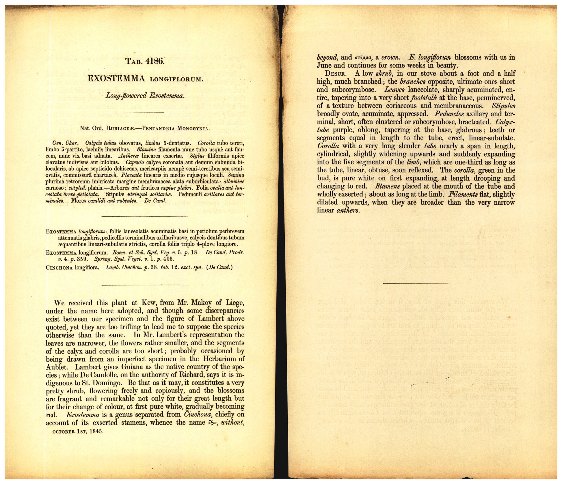 Botanical description tab for plate number 4186 - digital file