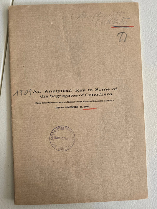 An Analytical Key to Some of the Segregates by Reginald Ruggles Gates