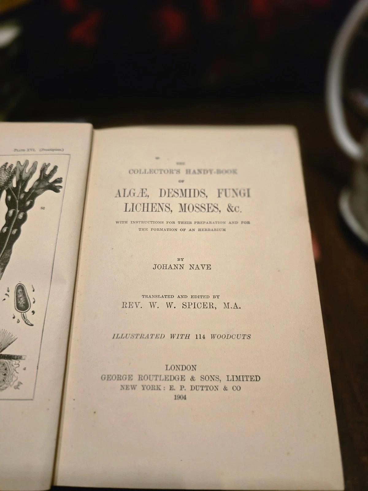 The Collectorâs Handy-Book of Algae, Fungi, Lichens, Mosses by Johann Nave - ...