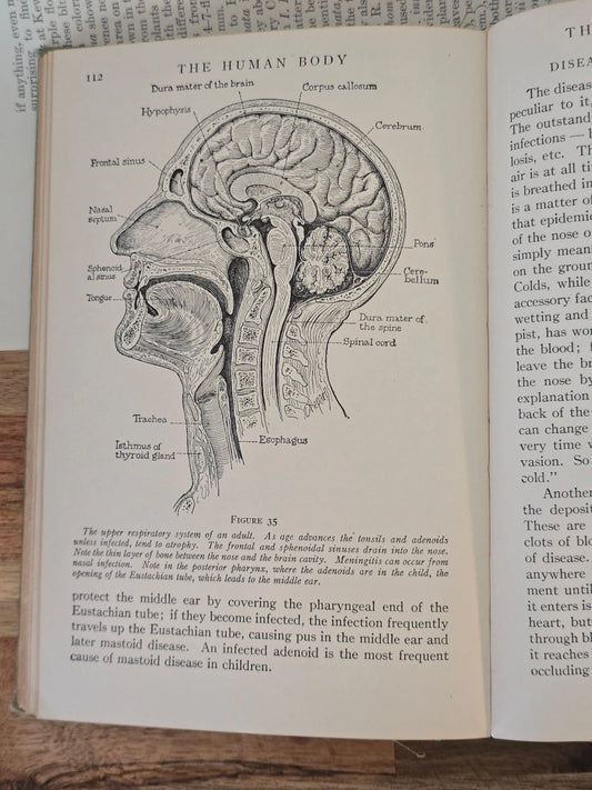 The Human Body by Logan Clendening - Star Book Edition