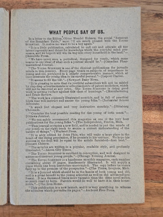 The Amateur’s Handbook of Practical Information (1878)