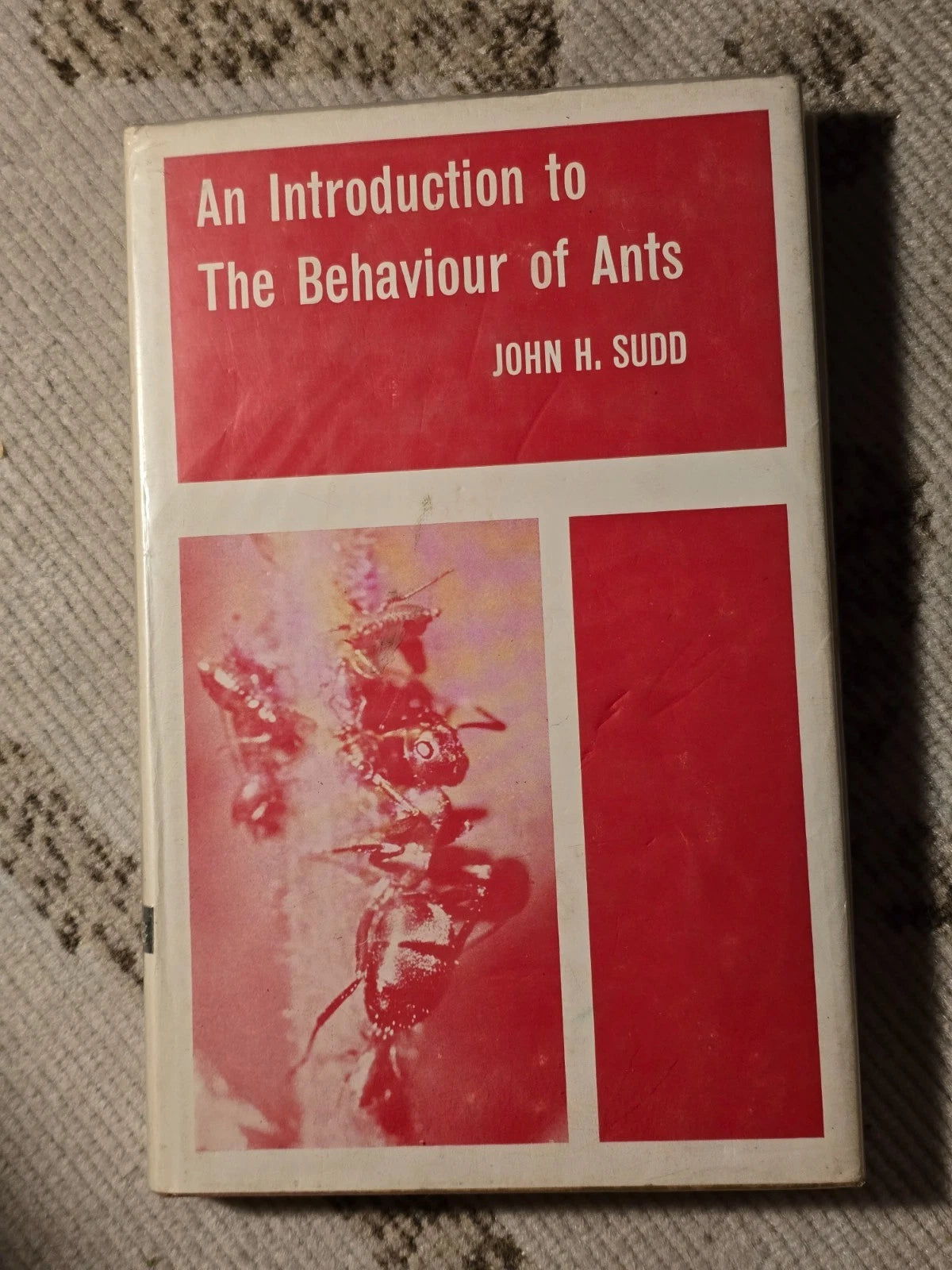 An Introduction to the Behaviour of Ants