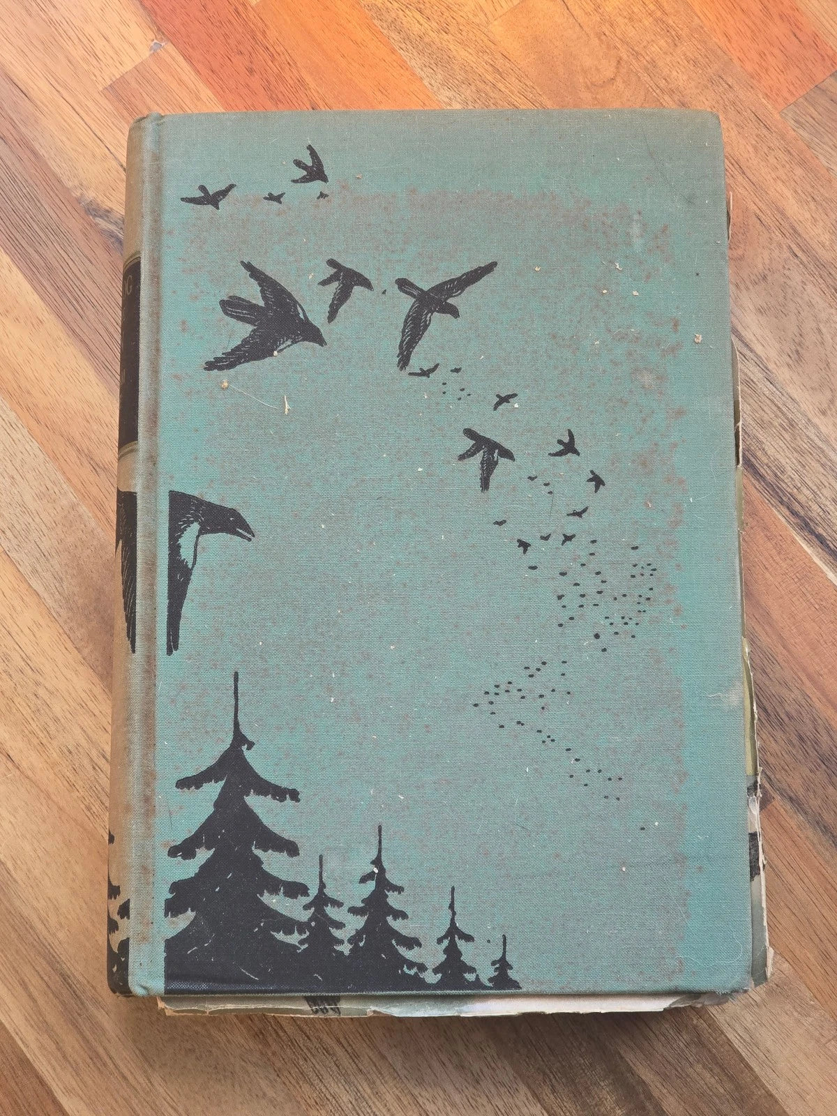 1938 William Beebe Signed The Log of the Sun HC Nature Essays Henry Holt
