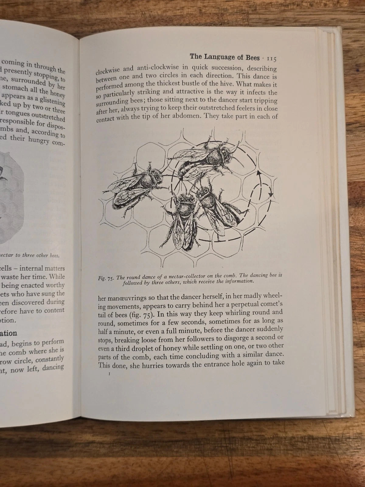 The Dancing Bees by Karl von Frisch - Second Edition (English Translation)